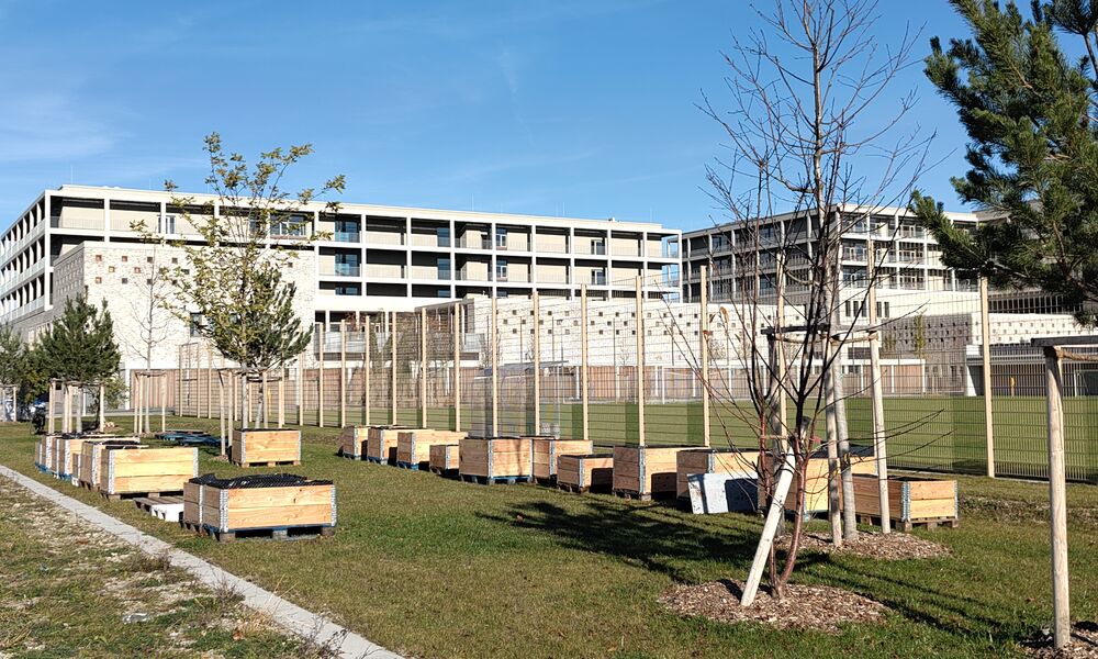 Veranstaltung: Führung Neufreimann