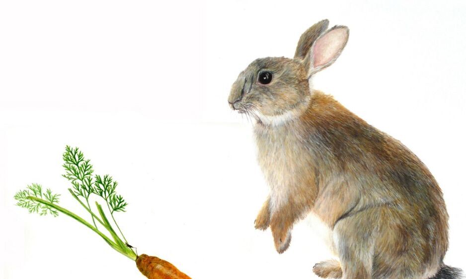 Kunst mit und aus der Natur